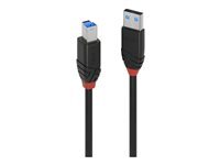 Lindy - cable USB - USB type A pour USB Type B - 10 m