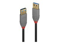 Lindy Anthra Line - cable USB - USB type A pour USB type A - 1 m