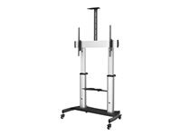 StarTech.com Pied TV Mobile - Chariot Support Tele Robuste ecrans 60-100 100kg - Support TV ecran Plat sur Pied Roulettes - Hauteur Reglable - Support Television Universel + etageres (STNDMTV100) chariot - pour ecran plat - noir, argent