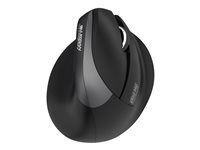 Urban Factory ERGO PRO - souris - vertical - 2.4 GHz, Bluetooth 5.0 - noir
