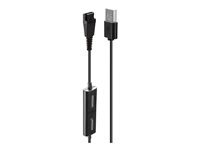 Lindy - C&acirc;ble pour casque micro - USB m&acirc;le pour D&eacute;connexion rapide m&acirc;le - 58 cm - noir 