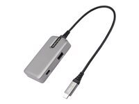 StarTech.com Produits StarTech.com DKT31CHPD3