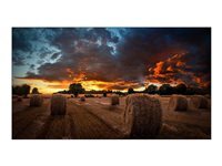 Samsung VM55B-U VMB-U Series - 55