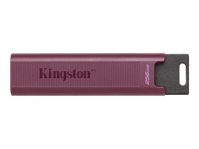 Kingston DataTraveler Max - cl USB - 1 To