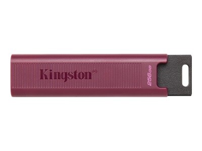 Kingston DataTraveler Max - cl USB - 256 Go