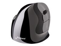 Application System Noir Evoluent D - Image 6