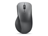 Lenovo Professional - souris - Bluetooth 5.1 - gris orage