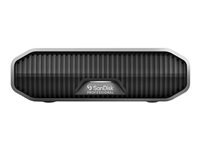 SanDisk Professional G Drive 22 To - vue 5