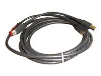 Epson Cable D'alimentation Usb 3 3M Noir de Inmac Wstore