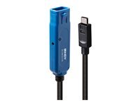 Lindy Noir - Rallonge De Câble Usb - 24 Pin Usb-C (M) Pour Usb Type A, Power Dc Jack 2.5 Mm (Id: 0.7 Mm) - Usb 3.2 Gen 2X2 - 5 M - Rond, Actif - Image 4