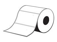Epson Accessoires pour imprimantes 7113413
