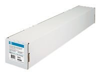 HP Papiers Spciaux C0F19A