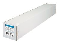 HP Papiers Spciaux C0F19A