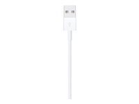 Apple cable Lightning - Lightning / USB - 1 m