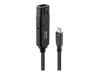 Lindy Noir Rallonge Active Pro Usb 3.2 10Gbit/S C/C 5M - Neuf - Image 4