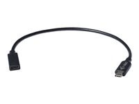 i-Tec - cable d'extension USB de type-C - 24 pin USB-C pour 24 pin USB-C - 30 cm