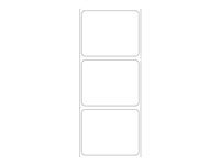 Zebra Accessoires Etiqueteuses 3009593-T