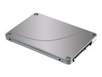 Hewlett Packard Enterprise  Disque SSD/serveur P65272-B21