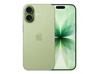 Apple iPhone 17 - vert gris - 5G smartphone - 256 Go - GSM