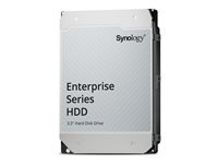 Synology HAT5320 - disque dur - Enterprise - 8 To - SATA 6Gb/s