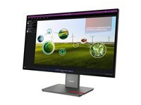Lenovo ThinkVision P27Q-40 - cran LED - QHD - 27
