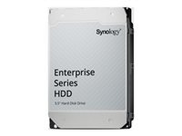 Synology HAT5320 - Disque dur - Enterprise - 24 To - interne - 3.5 - SATA 6Gb/s - 7200 tours/min