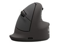 FELLOWES  100143581 souris Universel Droitier Bluetooth + USB Type-C Optique 2400 DPI