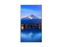 Sharp Multisync Pn-P556 P6 Series 55 Classe (54.6 Visualisable) Ecran Lcd Retro-Eclaire Par Led 4K Pour Signalisation Numerique Taille 4 Noir de Inmac Wstore