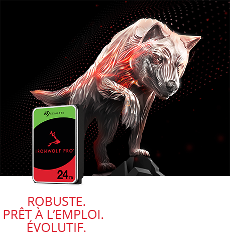 Ironwolf Pro 24 to rouge