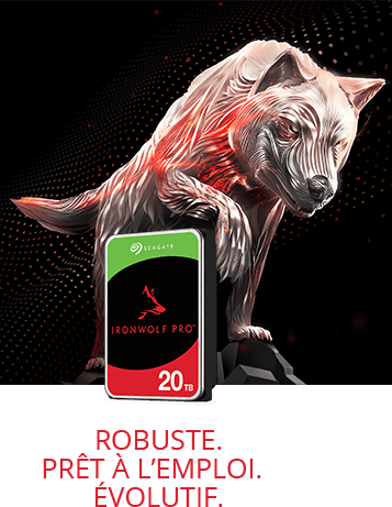 Ironwolf Pro 22 to rouge