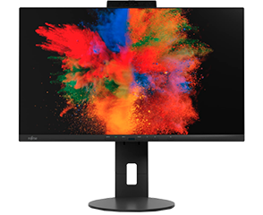 Moniteur CRAN P2410 TS CAM Fujitsu Noir