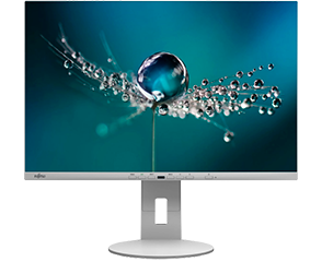 Moniteur CRAN B2410 WE Fujitsu Gris