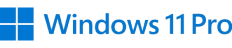 Icone Windows 11 Pro